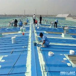 1.5mm厚貼必定CLF交叉層壓膜高分子自粘防水卷材價(jià)格解析與產(chǎn)品優(yōu)勢(shì)概述